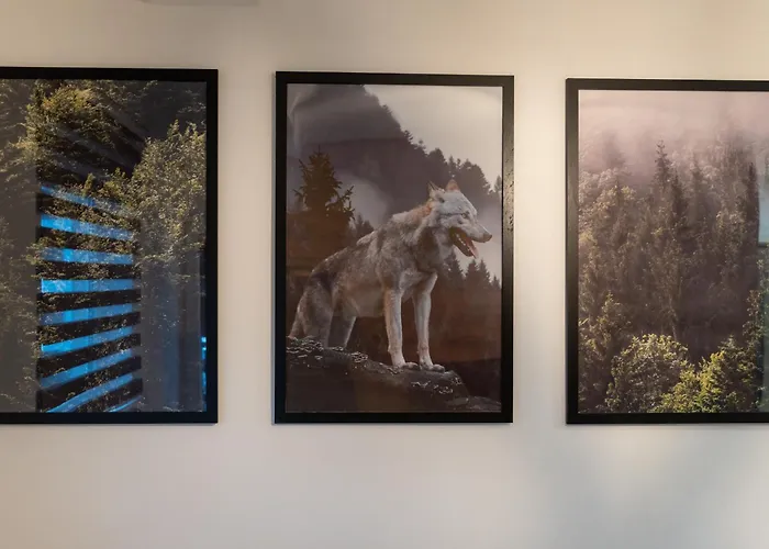 Διαμέρισμα Vuk Ζλάτιμπορ