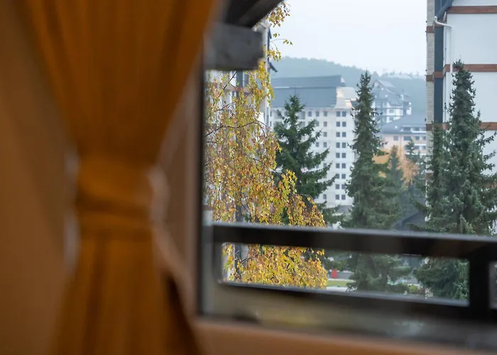 Vuk * Ζλάτιμπορ